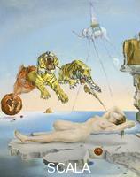 Dali', Salvador (1904-1989) Dream caused by the Flight of a Bee around a Pomegranate a Second before Waking up, 1944