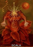 Kahlo, Frida (1907-1954) The Flower of Life (La flor de la vida), 1944.
