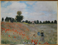 Monet, Claude (1840-1926) Poppies