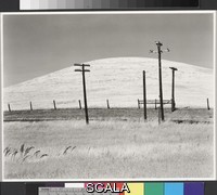 Weston, Edward (1886-1958) Hills and Poles, Solano County. 1937-09-17. [pale rounded hill, telephone poles, grassy field]. Gelatin silver print. Overall, Primary Support: 7 3/8 x 9 7/16 in. (18.8 x 24 cm) Overall, Secondary Support: 13 7/8 x 16 1/16 in. (35.2 x 40.8 cm) Image: 7 3/8 x 9 7/16 in. (18.8 x 24 cm). Edward Weston Archive/Gift of the Heirs of Edward Weston. Inv. N.: 82.10.69