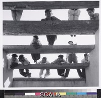 Alvarez Bravo, Lola (1907-1993) Los gorrones. ca. 1955. street urchins; boys lying on bleachers, viewed from underneath. Gelatin silver print. Overall, Primary Support: 7 15/16 x 10 1/16 in. (20.1 x 25.5 cm) Image: 7 3/8 x 8 5/16 in. (18.8 x 21.1 cm). Lola Alvarez Bravo Archive. Inv. N.: 93.6.44
