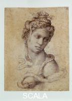 Michelangelo (Buonarroti, Michelangelo 1475-1564) Head of Cleopatra n. 2 F recto